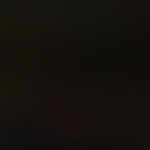 Meet your Posher, Owen